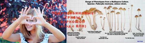 герыч Богородск
